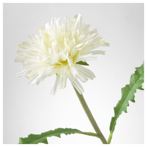 SMYCKA, τεχνητό λουλούδι, Πικραλίδα, 103.356.63