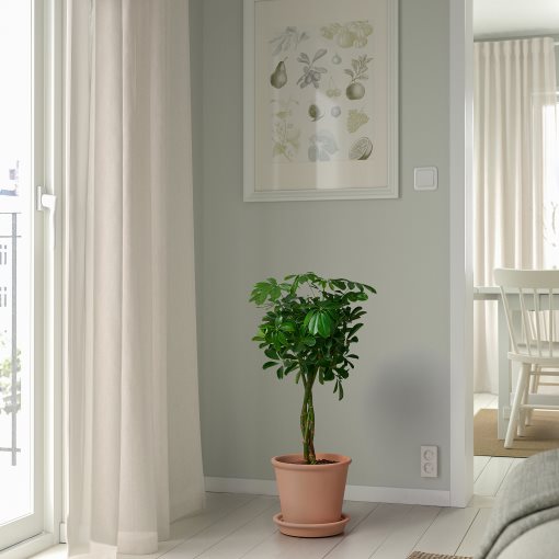 MUSKOTBLOMMA, plant pot with saucer/in/outdoor, 19 cm, 105.607.22