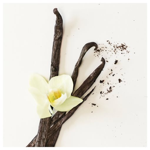 FRÖFINK, αρωματισμένο ποτπουρί/Βανίλια, 60 g, 106.096.05