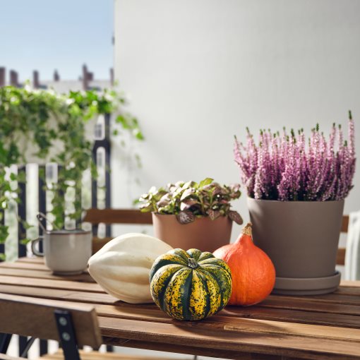 CUCURBITA, decoration pumpkin, 106.293.35