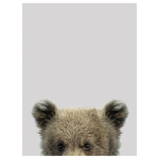 PJÄTTERYD, καμβάς/Κου-κου, 30x40 cm, 205.331.63