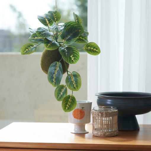 FEJKA, artificial potted plant/moss, 9 cm, 205.599.64