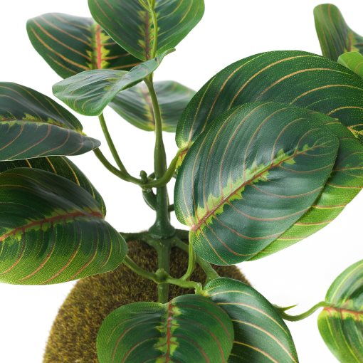 FEJKA, artificial potted plant/moss, 9 cm, 205.599.64