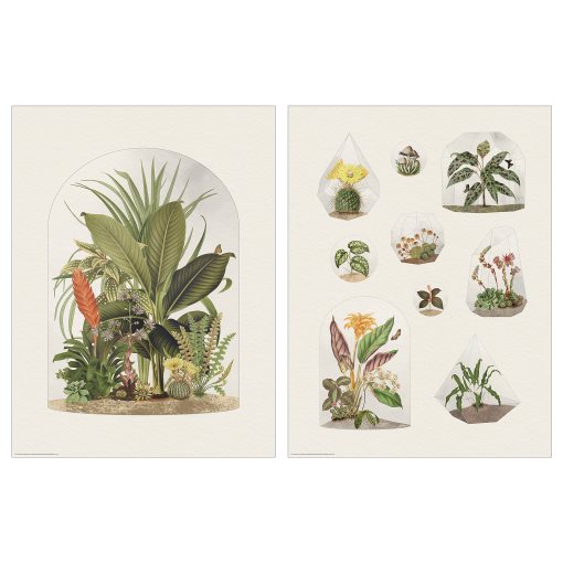 BILD, πόστερ/Τροπικά φυτά, 30x40 cm, 205.788.92