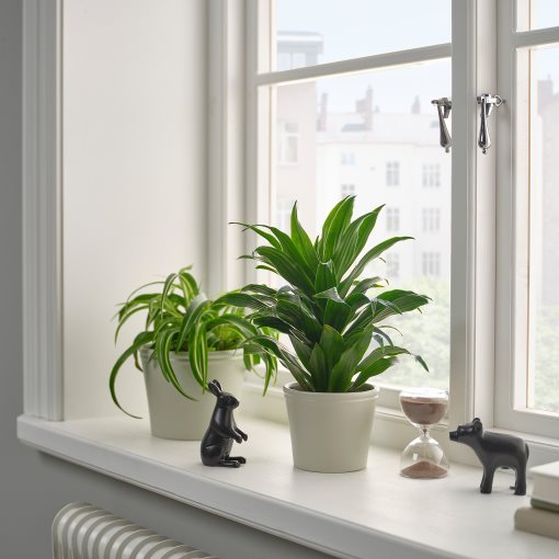 KÖRSBÄRSBJÖRK, κασπό, 9 cm, 205.917.18