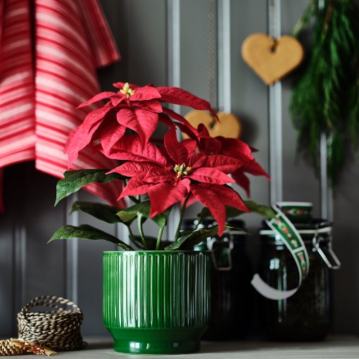 VINTERFINT, plant pot in/outdoor, 12 cm, 206.078.99