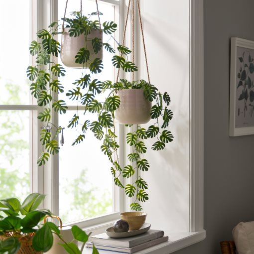 FEJKA, artificial potted plant in/outdoor hanging/Monstera, 9 cm, 206.084.03