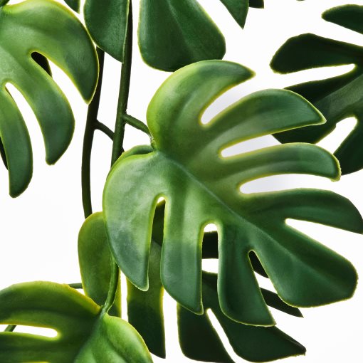 FEJKA, artificial potted plant in/outdoor hanging/Monstera, 9 cm, 206.084.03