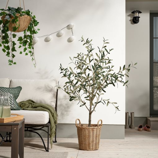 FLODBJÖRK, κασπό εσωτερικού/εξωτερικού χώρου, 24 cm, 206.120.61