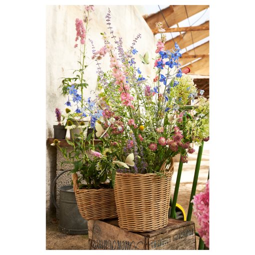 FLODBJÖRK, κασπό εσωτερικού/εξωτερικού χώρου, 24 cm, 206.120.61