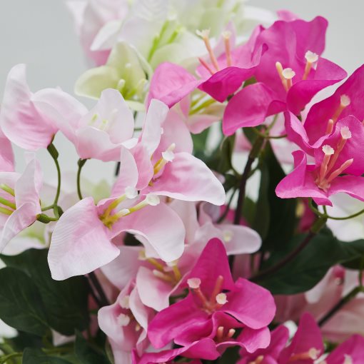 SMYCKA, artificial bouquet in/outdoor/Bouganvilla , 52 cm, 206.176.81