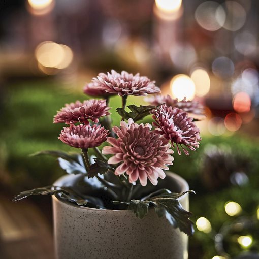 FEJKA2026, artificial potted plant in/outdoor/Chrysanthemums, 9 cm, 206.312.10