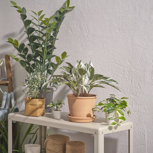 FEJKA, artificial potted plant in/outdoor/Calathea, 15 cm, 305.932.22