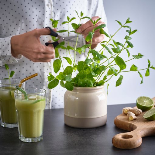 BRUGDHAJ, δοχείο με καπάκι, 1 l, 305.961.69