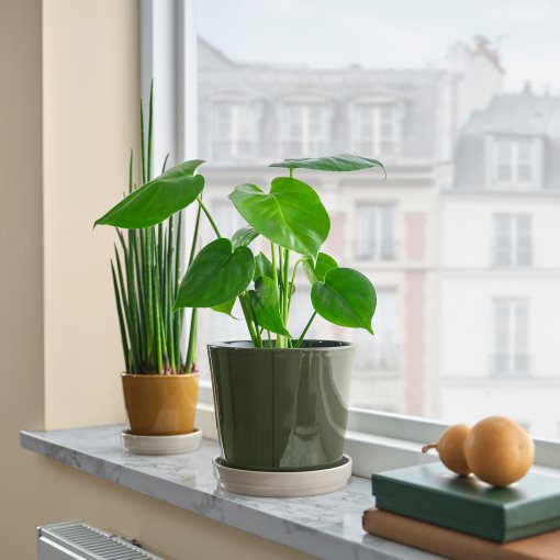 KLOTLÖNN, plant pot with saucer in/outdoor, 15 cm, 305.982.67