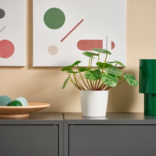 FEJKA, artificial potted plant in/outdoor Pilea, 9 cm, 306.008.59