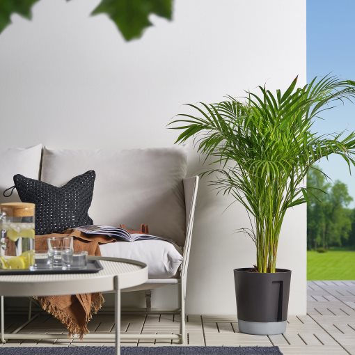 VÅRDTRÄD, αυτοποτιζόμενη γλάστρα εσωτερικού/εξωτερικου χώρου, 24 cm, 405.708.66