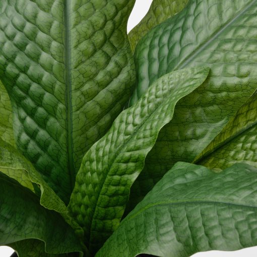 FEJKA, τεχνητό φυτό σε γλάστρα εσωτερικού/εξωτερικού χώρου/φτέρη, 12 cm, 406.008.73