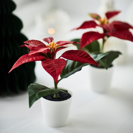 VINTERFINT, artificial potted plant in/outdoor Poinsettia, 6 cm, 406.065.87