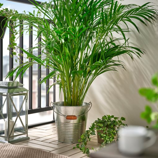 KORKGRAN, κουβάς/κασπό εσωτερικού/εξωτερικού χώρου, 10 l, 406.119.80