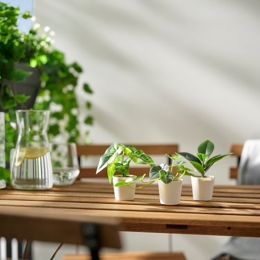 FEJKA, artificial potted plant/leaf/ in/outdoor, set of 3, 406.300.64