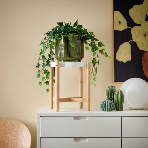 HONUNGSPALM, plant pot in/outdoor, 19 cm, 406.413.45