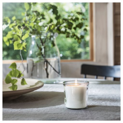 ADLAD, scented candle in glass/Scandinavian Woods/, 20 hr, 505.021.03
