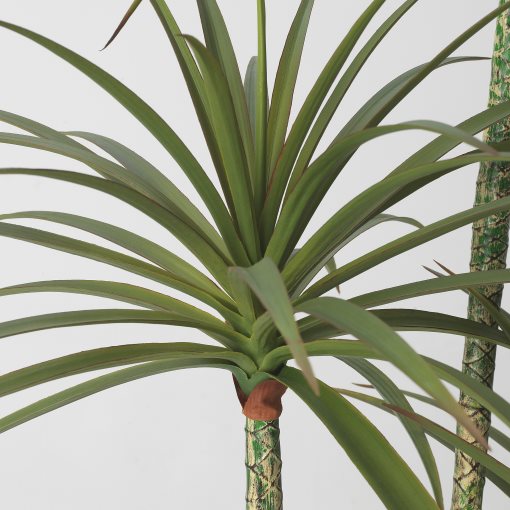 FEJKA, artificial potted plant/in/outdoor/Dracena, 23 cm, 505.486.34
