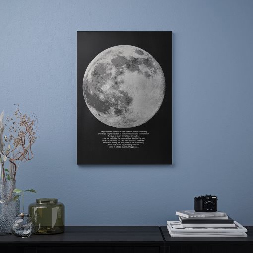 PJÄTTERYD, picture/moonlight, 50x70 cm, 505.545.02