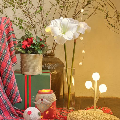 VINTERFINT, τεχνητό λουλούδι/εσωτερικού/εξωτερικού χώρου/Αμαρυλλίς, 60 cm, 505.621.54