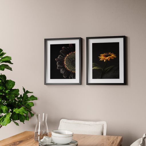 RODALM, κορνίζα με πόστερ/Ήλιοι, 2 τεμ. 40x50 cm, 505.835.47