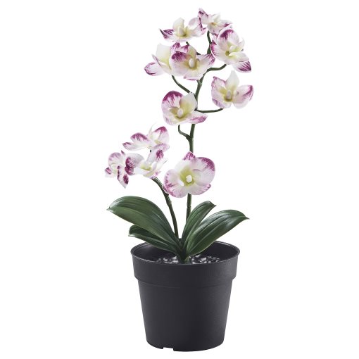 FEJKA, artificial potted plant in/outdoor/Orchid, 9 cm, 505.932.16