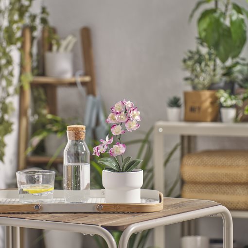 FEJKA, artificial potted plant in/outdoor/Orchid, 9 cm, 505.932.16
