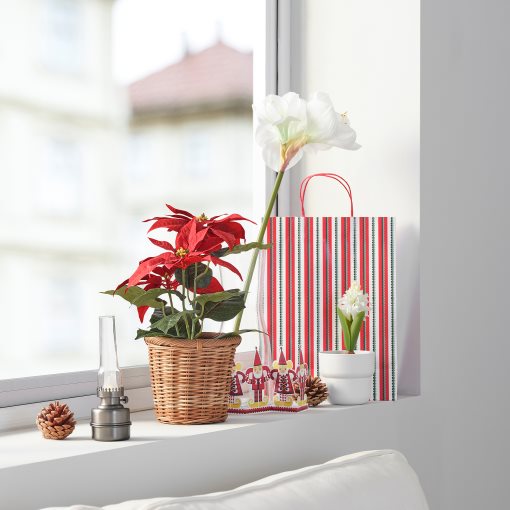 VINTERFINT, artificial potted plant/in/outdoor Poinsettia, 12 cm, 605.621.39