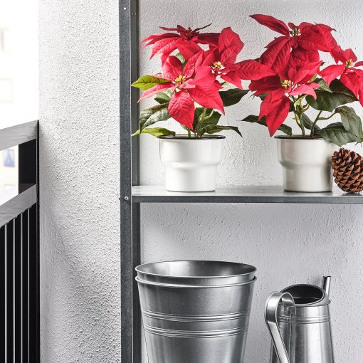 VINTERFINT, artificial potted plant/in/outdoor Poinsettia, 12 cm, 605.621.39