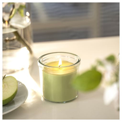 LOVSKOGSLUND, scented candle in glass/apple, 40 hr, 605.820.57