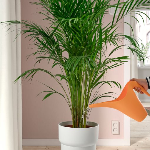 IKEA PS 2002, ποτιστήρι, 1.2 l, 605.851.88