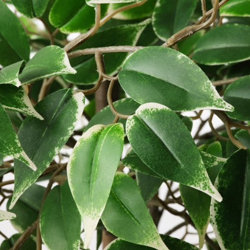 FEJKA, artificial potted plant/in/outdoor/Weeping fig, 21 cm, 704.915.75