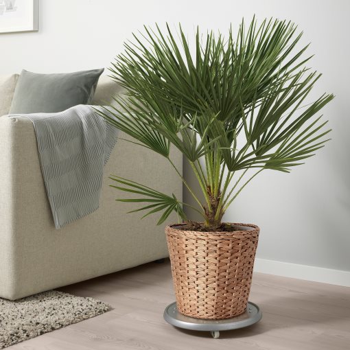 FRIDFULL, plant pot, 24 cm, 705.134.12