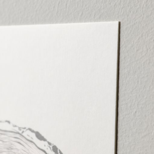 VÄXBO, art card/Echos from nature/8 pack, 13x18 cm, 705.610.02