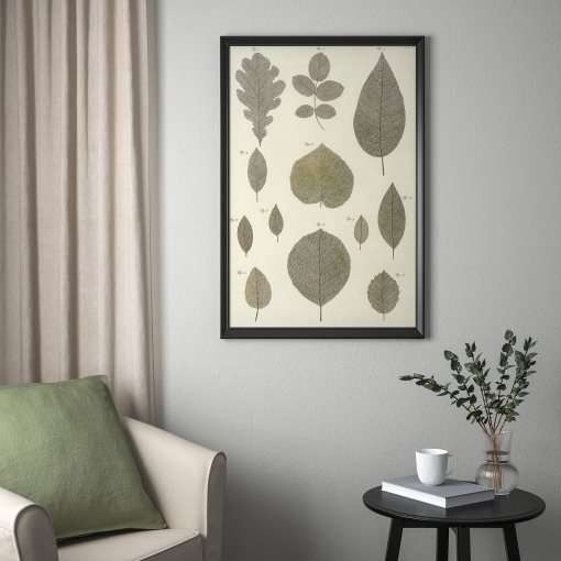 BILD, poster/botanic leaves collection, 61x91 cm, 705.708.98