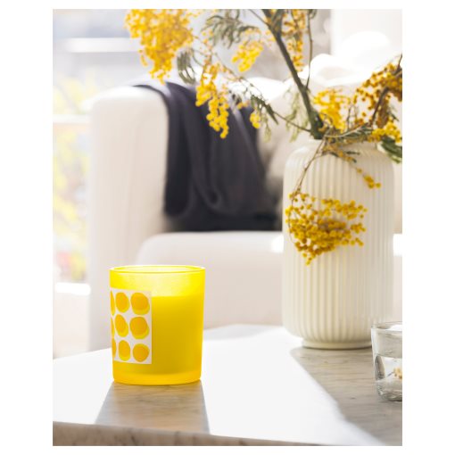 SVARTOXBÄR, αρωματικό κερί σε ποτήρι/μιμόζα, 45 ώρες, 705.826.60