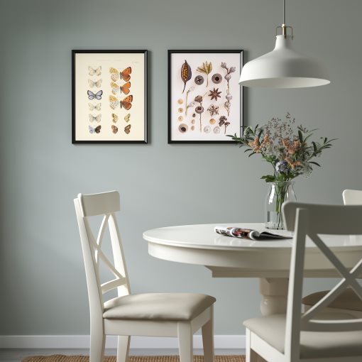 BILD, πόστερ/πεταλούδες και σπόροι, 2 τεμ. 40x50 cm, 705.835.70