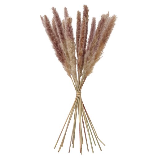 TORKA, dried plants/bunch/reed, 70 cm, 706.381.29