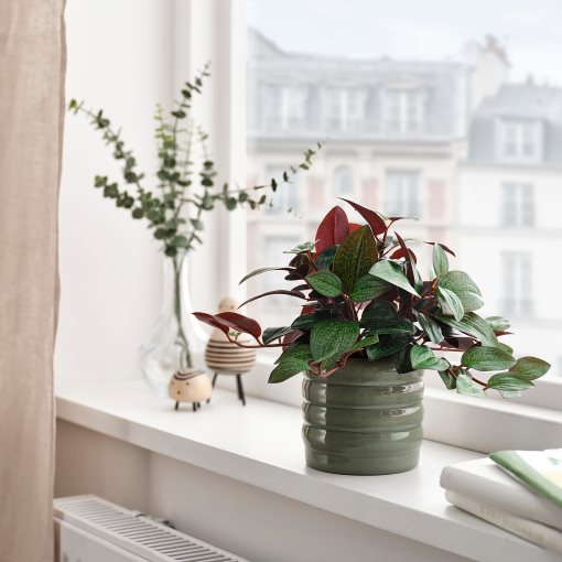HASSELBUKETT, plant pot in/outdoor, 9 cm, 706.413.58