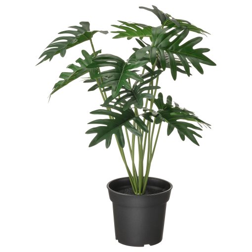 FEJKA, τεχνητό φυτό σε γλάστρα εσωτερικού/εξωτερικού χώρου/Φιλόδεντρο, 15 cm, 805.229.96