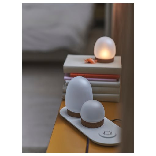 PRAKTSPIREA, διακοσμητικός φωτισμός με ενσωματωμένο φωτισμό LED και δίσκο φόρτισης, 4 τεμ., 805.388.55