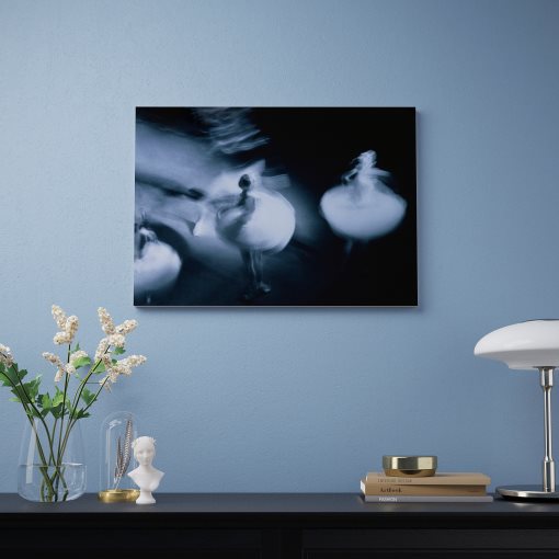 PJÄTTERYD, picture/Swirling, 70x50 cm, 805.452.76