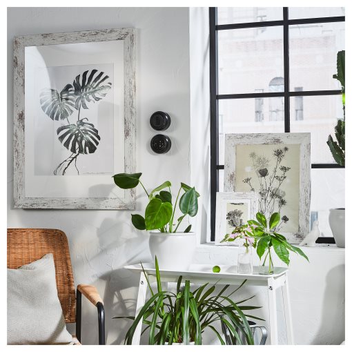 PLOMMONTRÄD, frame, 30x40 cm, 805.595.41