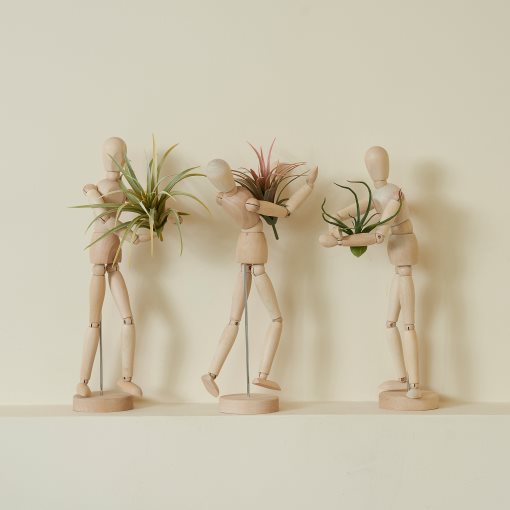 FEJKA, artificial plant/Air plant, set of 3, 805.599.61